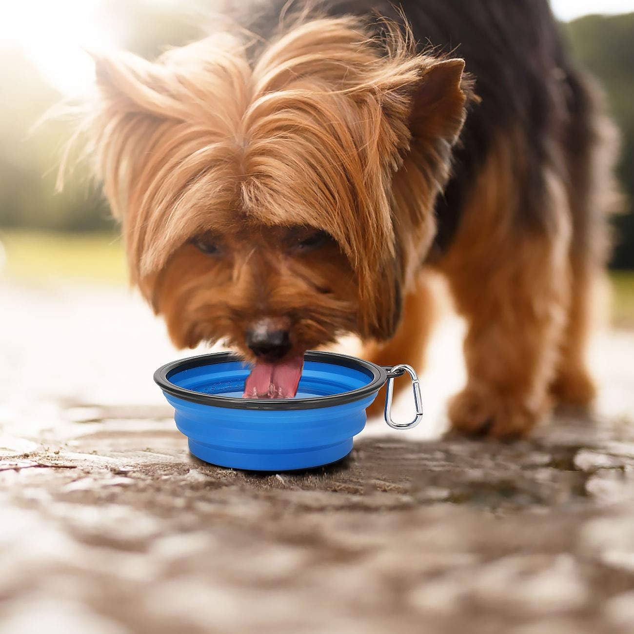 Thumbnail 5 de Kytely kbowl07 Collapsible Dog Travel Bowls, 2-Pack, 34 oz with Clips