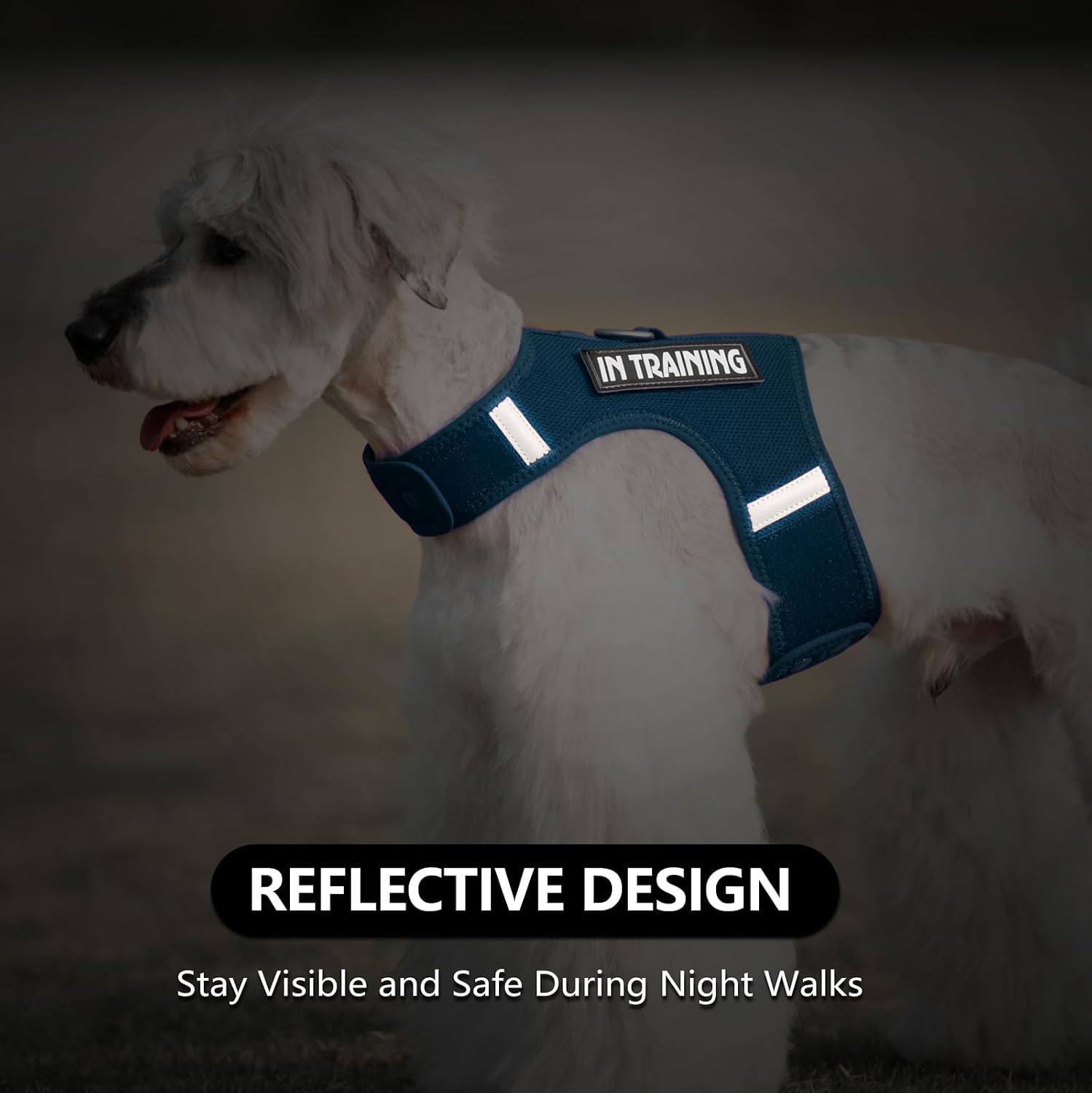 Thumbnail 6 de Sunraymascota Small Dog Harness with Reflective Panels and Adjustable Fit (Prussian Blue, S)