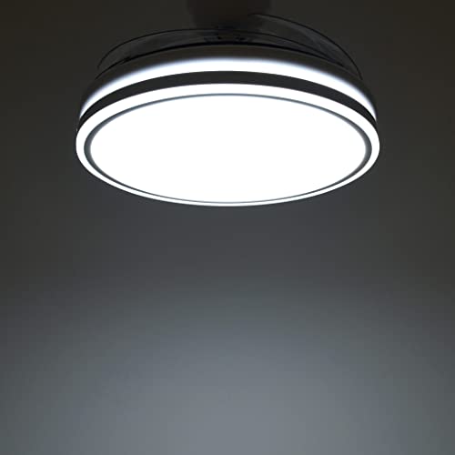 Thumbnail 6 de TODOLAMPARA.com TRACE Ventilador Techo LED 91 CM 📺