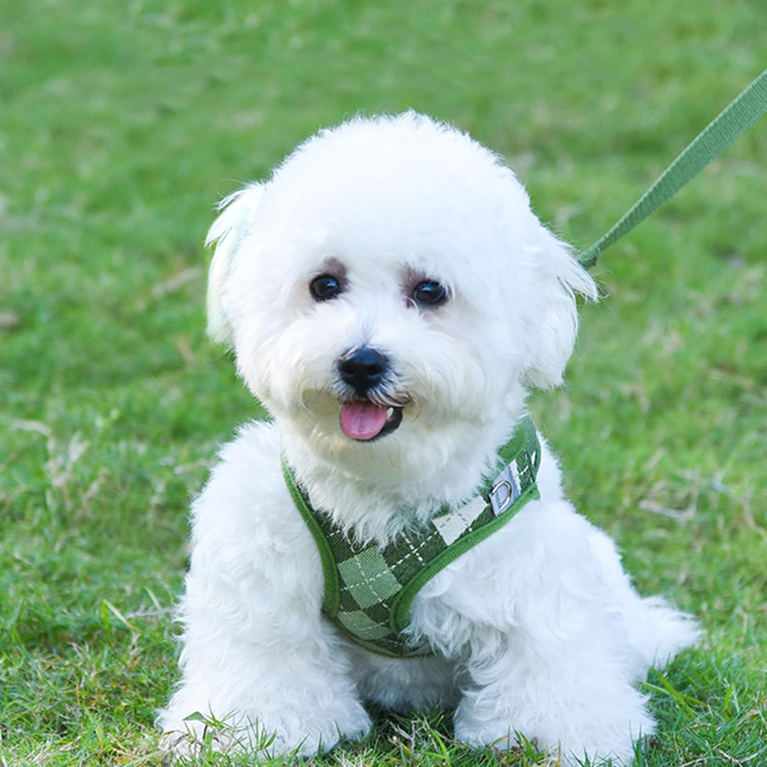 Detalle 2 de PawSailor Step-in Dog Harness, Small