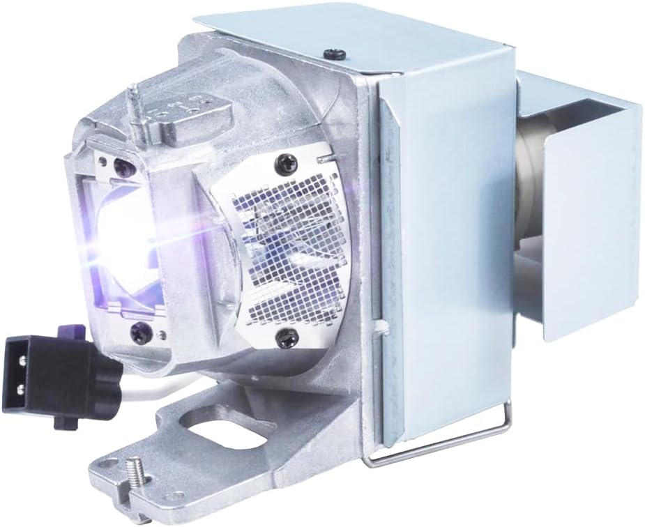 iReijomoi BL-FP240G Replacement Lamp