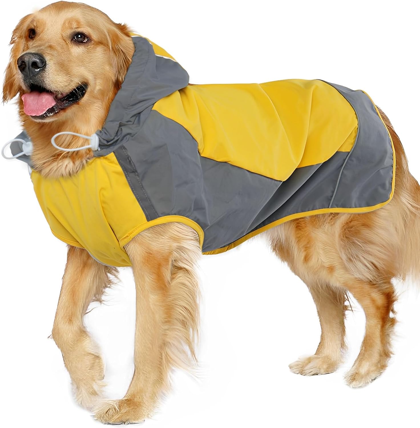 Detalle de IECOii Dog Raincoat, XXL