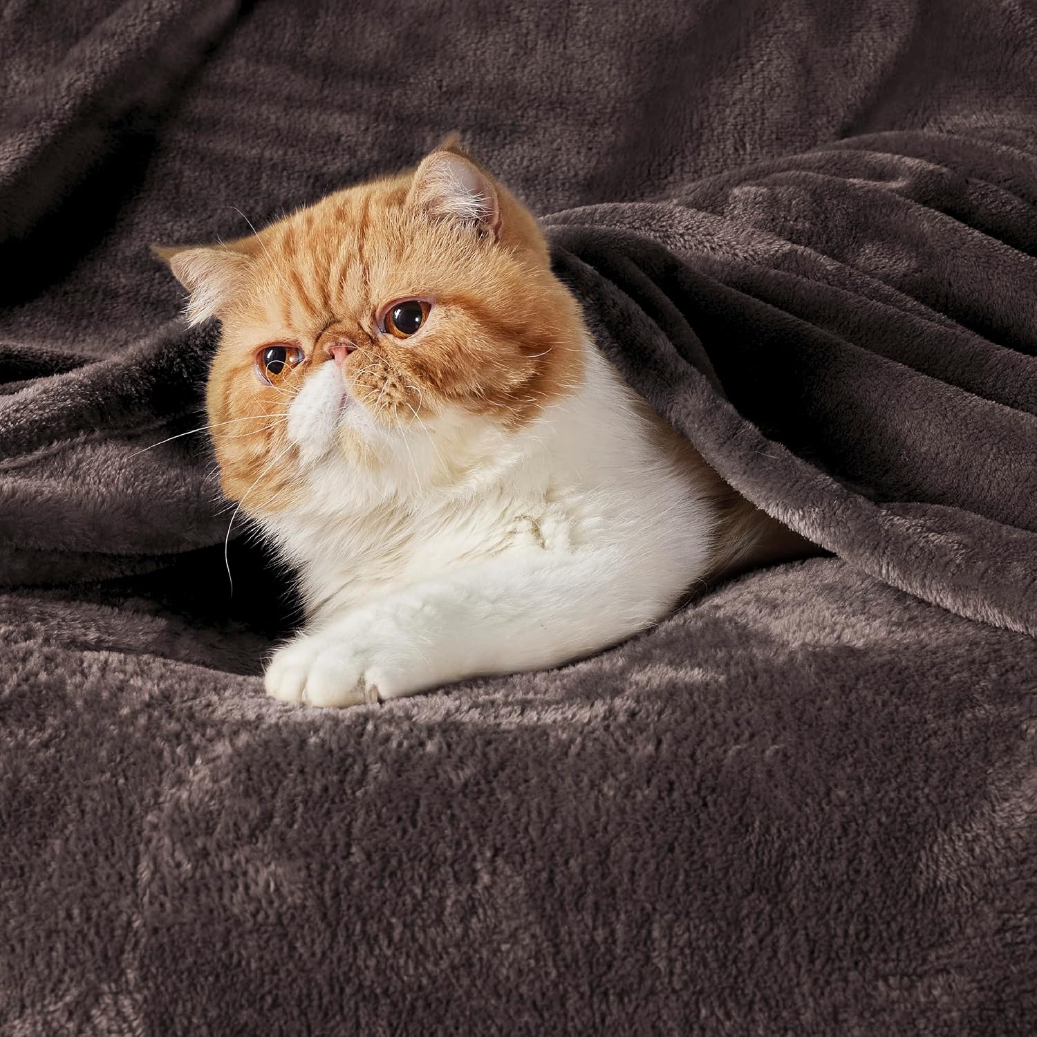 Detalle de Bedsure King Fleece Throw Blanket, Brown, 108 x 90 in, Lightweight Polyester