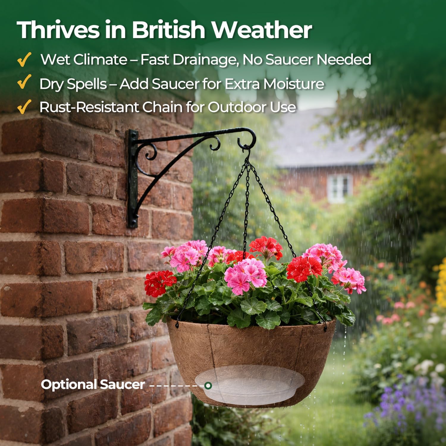 Thumbnail 3 de T4U Hanging Baskets Outdoor 6 Pack (30.5cm) with Tray & Rustproof Chains