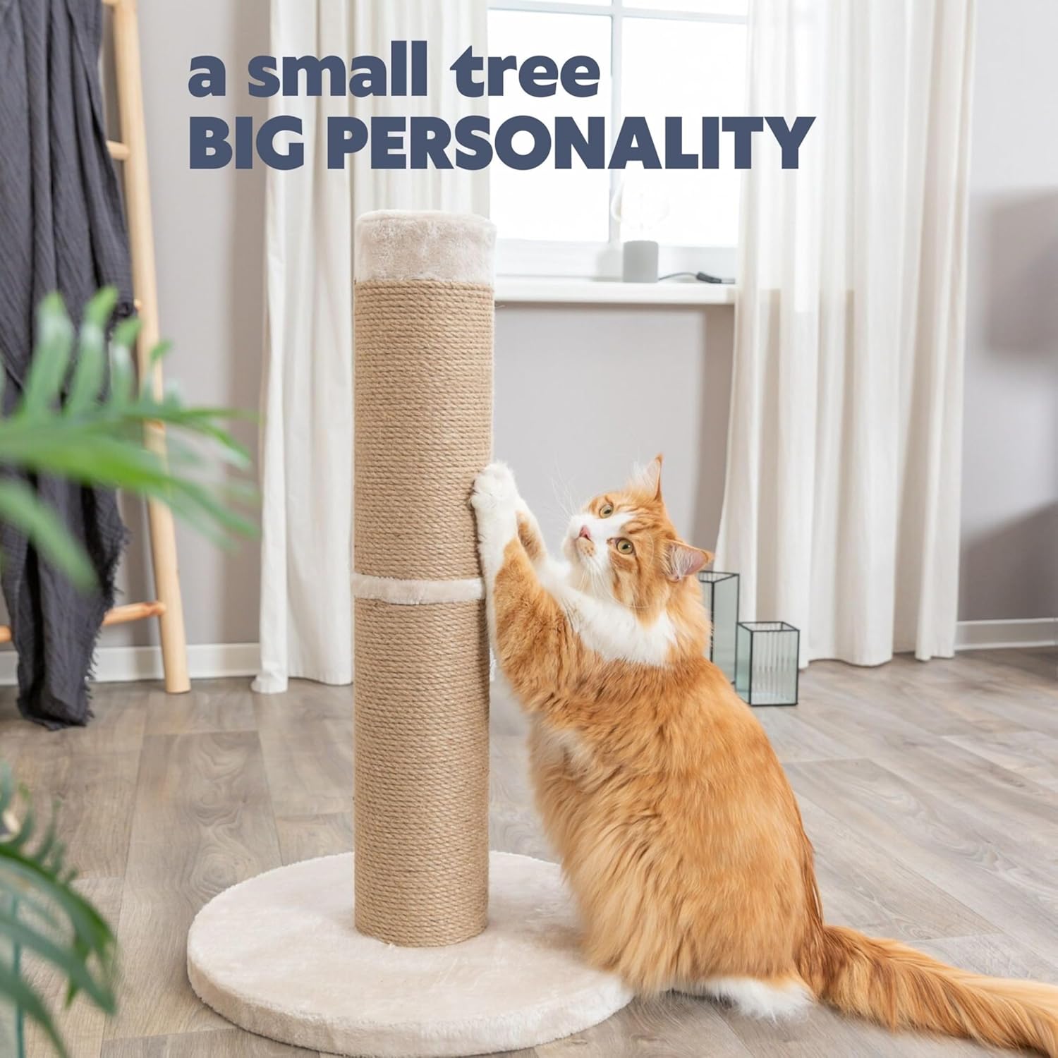 Detalle de TRIXIE Rue Griffoir XXL en sisal pour chats de grande taille avec base peluche beige – 80 cm