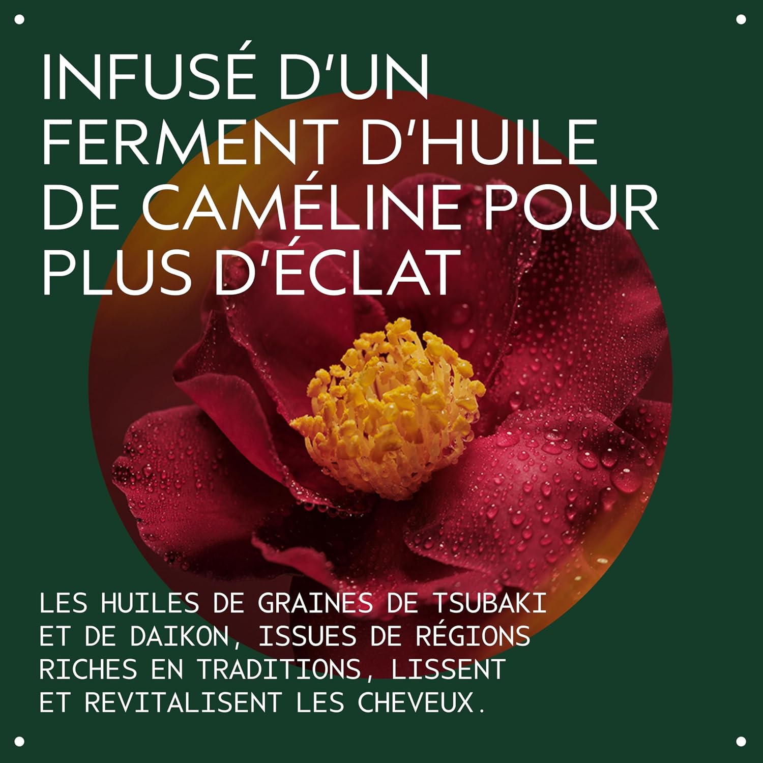 Thumbnail 6 de Aveda Miraculous Oil Concentré capillaire brillance – Huile capillaire vegan 50 ml