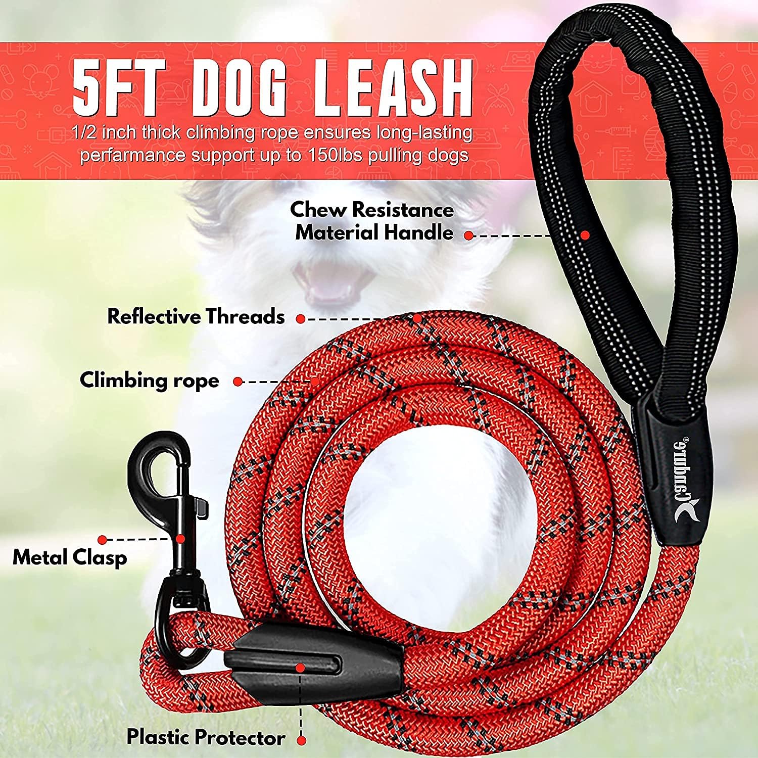 Detalle de Candure Guinzaglio per Cani Elastico Riflettente 5ft: Nylon, Impugnatura imbottita e Clip robusta