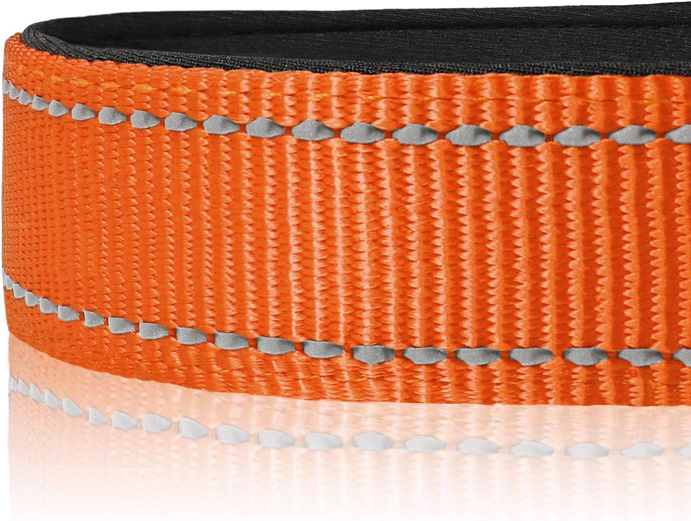 Thumbnail 5 de HEELE reflective dog collar with soft neoprene padding (Orange, size L 40–66cm)