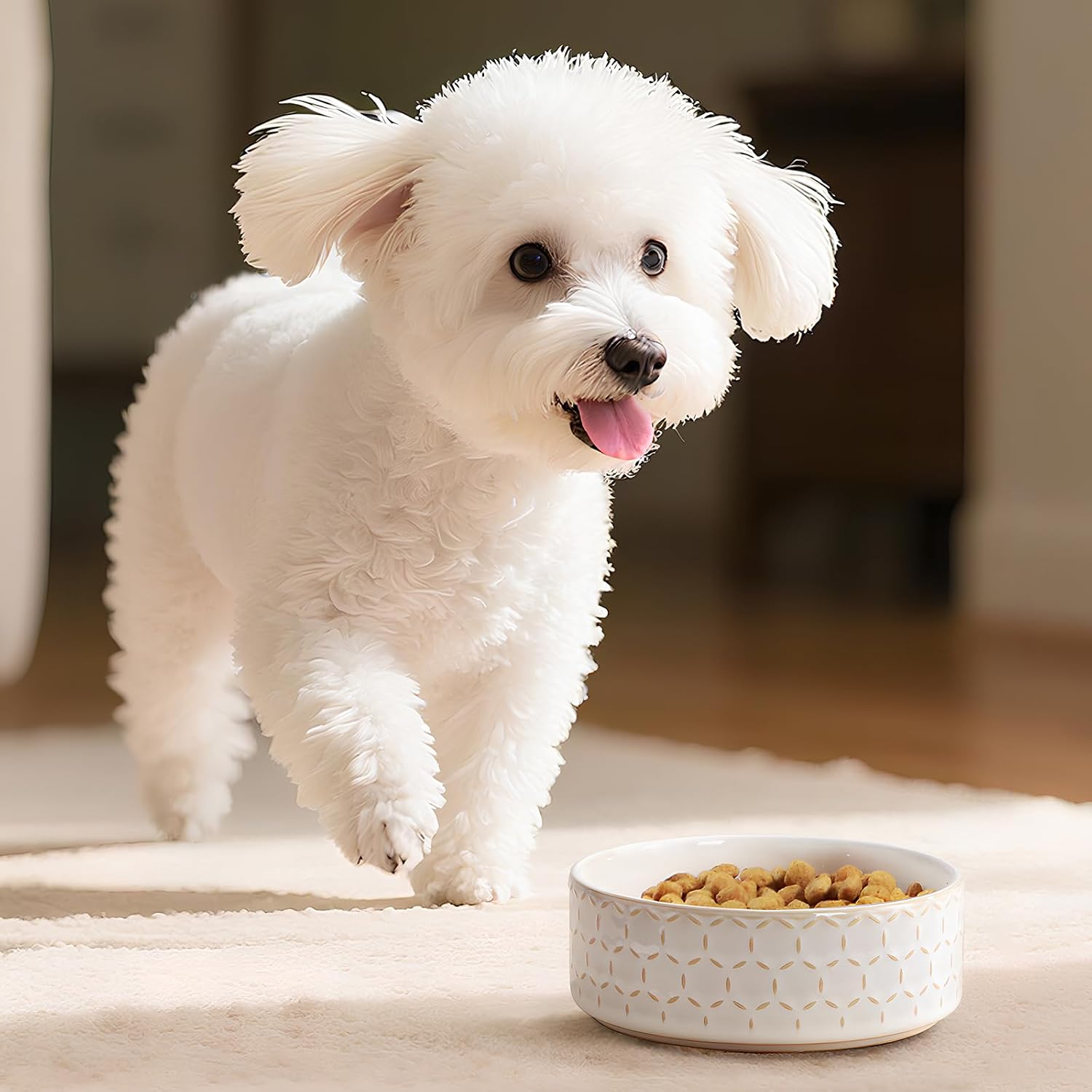 Thumbnail 6 de MALACASA Ceramic Pet Bowl, 2-Cup Capacity