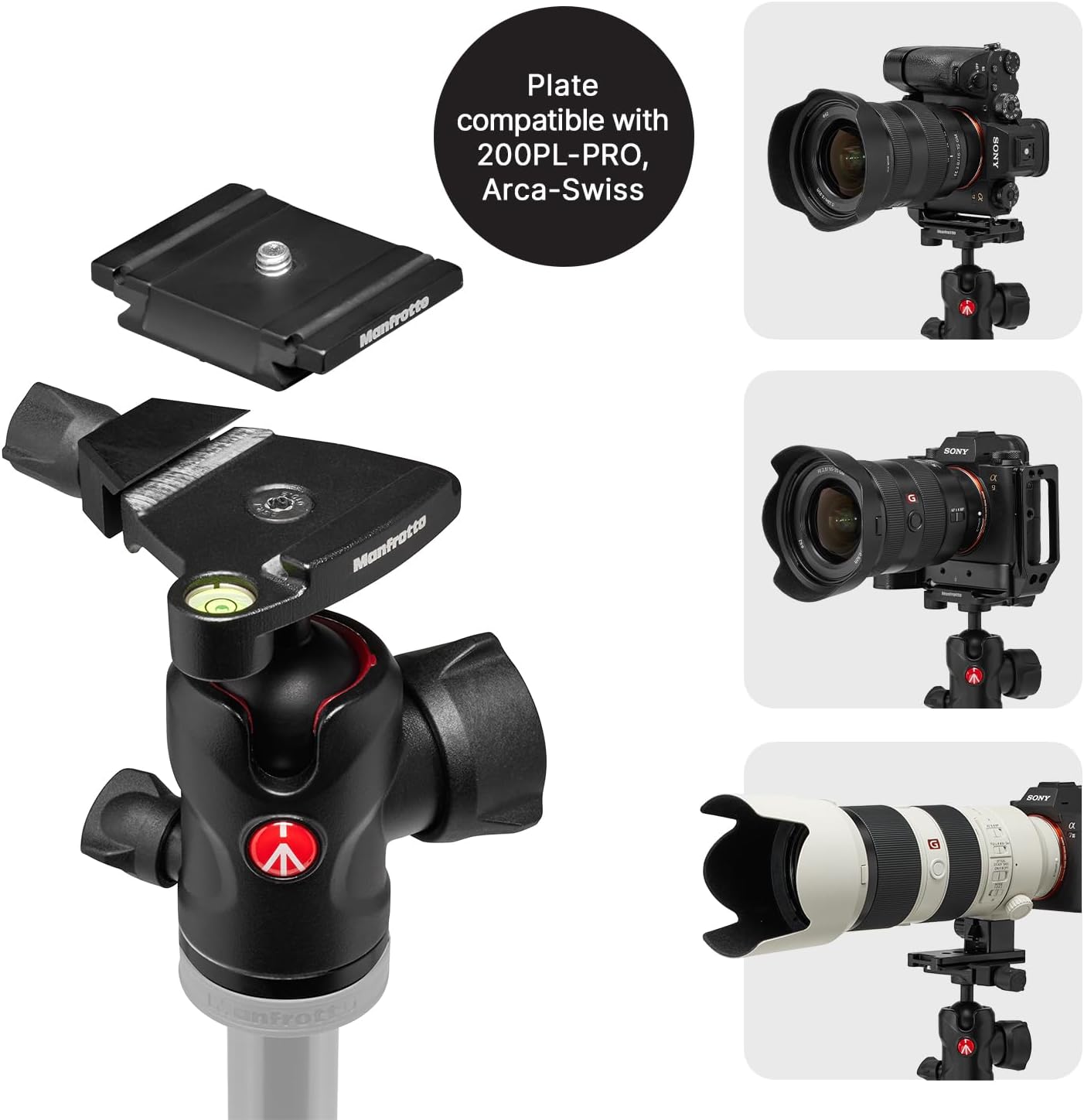 Detalle de Manfrotto Befree Advanced AS : un trépied portable et robuste pour DSLR et sans miroir