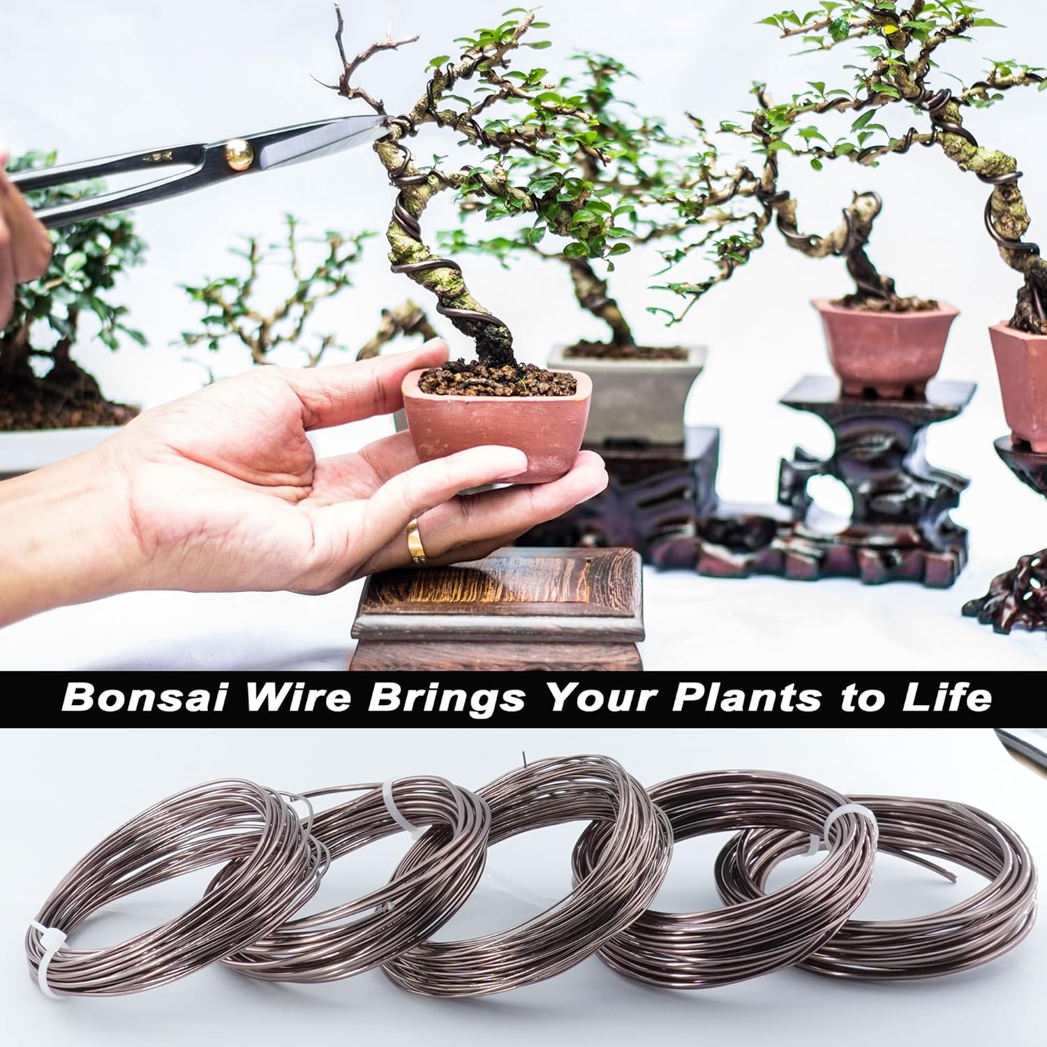 Thumbnail 4 de Filo Bonsai Alluminio 50 m