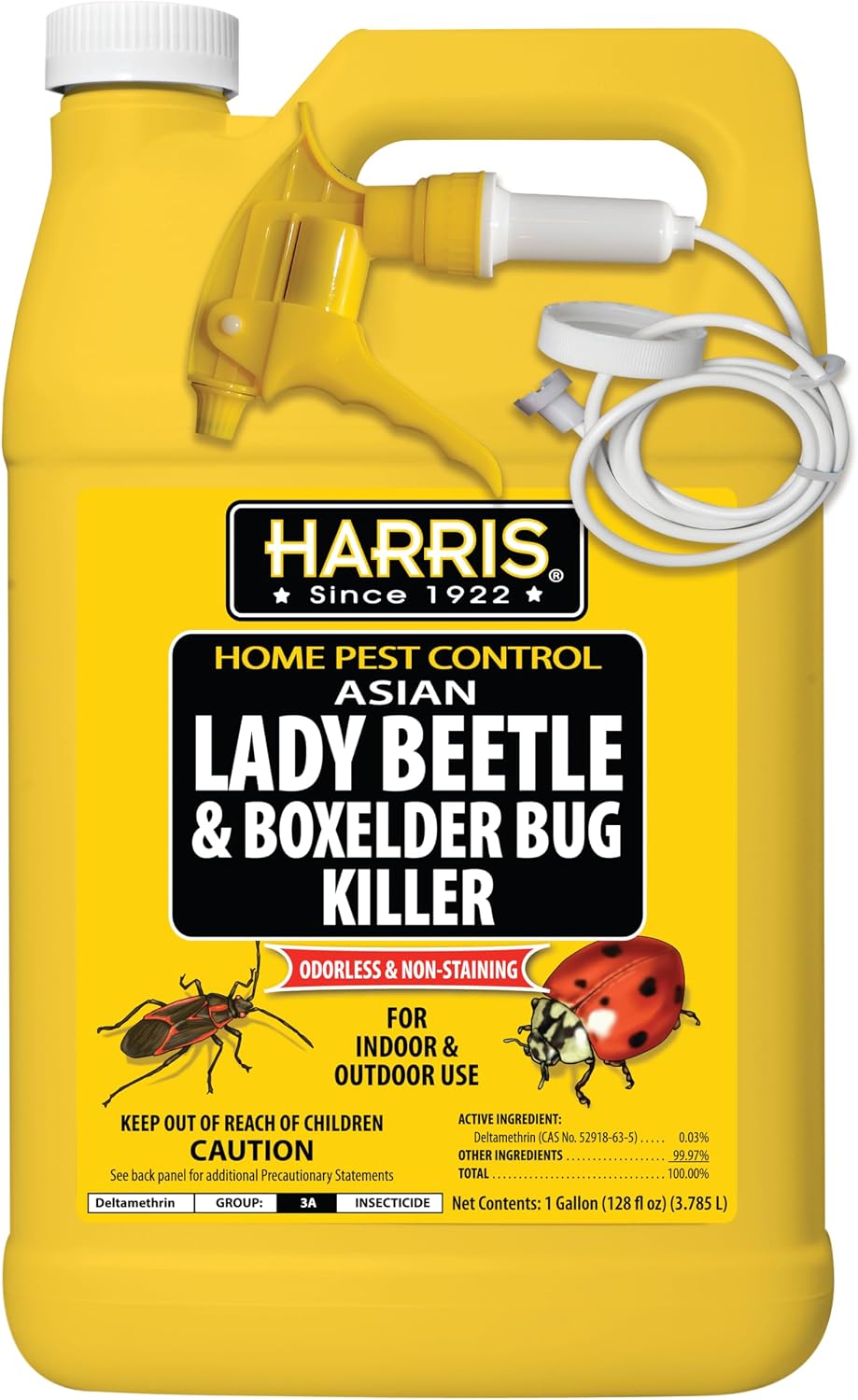Detalle de HARRIS HBXA-128 Asian Lady Beetle & Box Elder Killer Spray, 1 Gallon