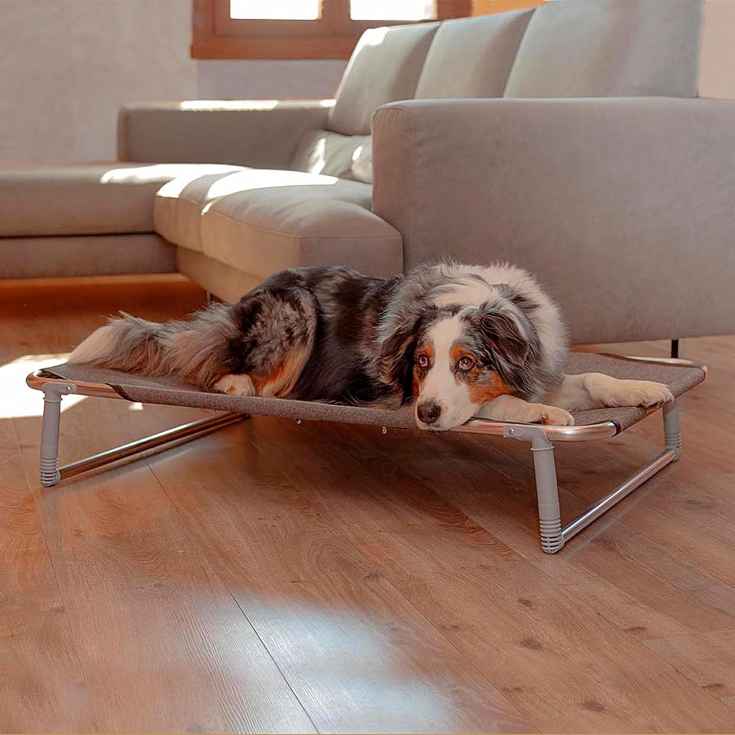 Detalle de Ferplast Lettino per Cane Dream 100: cuccia leggera e resistente per cani di taglia media