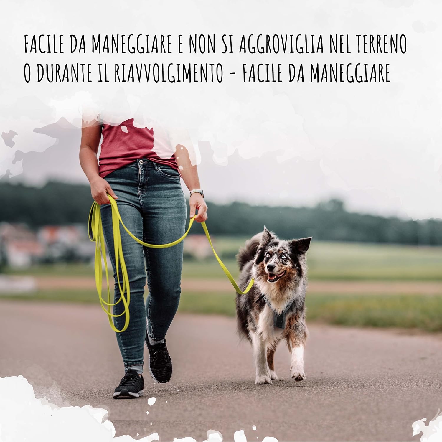 Detalle de Rudelkönig Guinzaglio addestramento per cani – Lunghina 5 metri, resistente e igienico