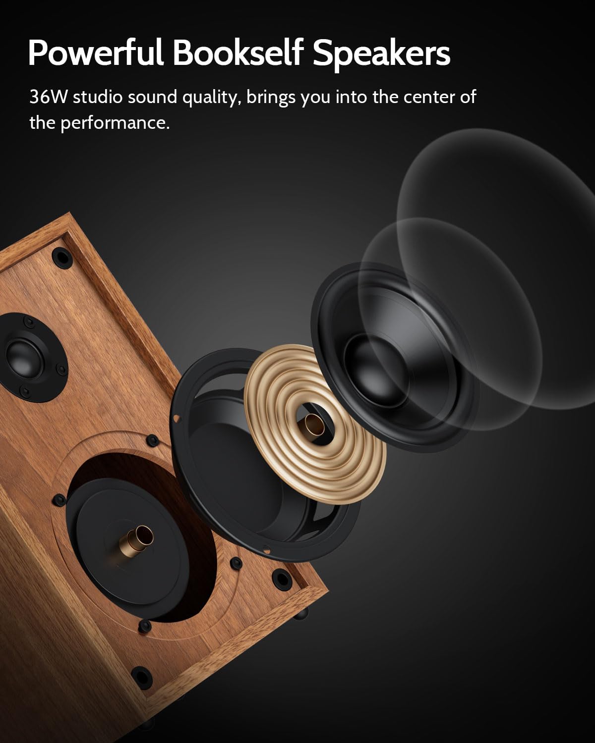 Detalle de 1 BY ONE Turntable System