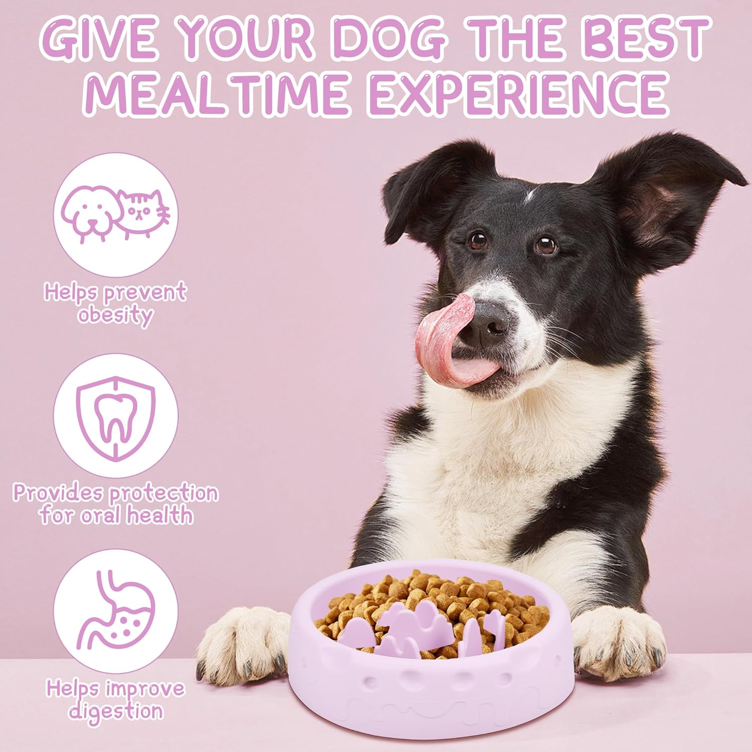 Thumbnail 4 de TranRantic Slow Food Hundenapf aus Silikon (lila) mit Spirallabyrinth und Saugnapfboden