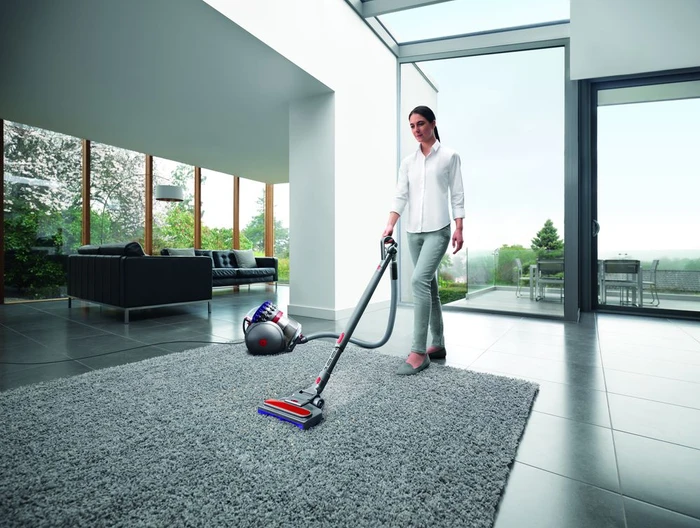 Thumbnail 5 de Dyson Big Ball Parquet 2 đź§ą