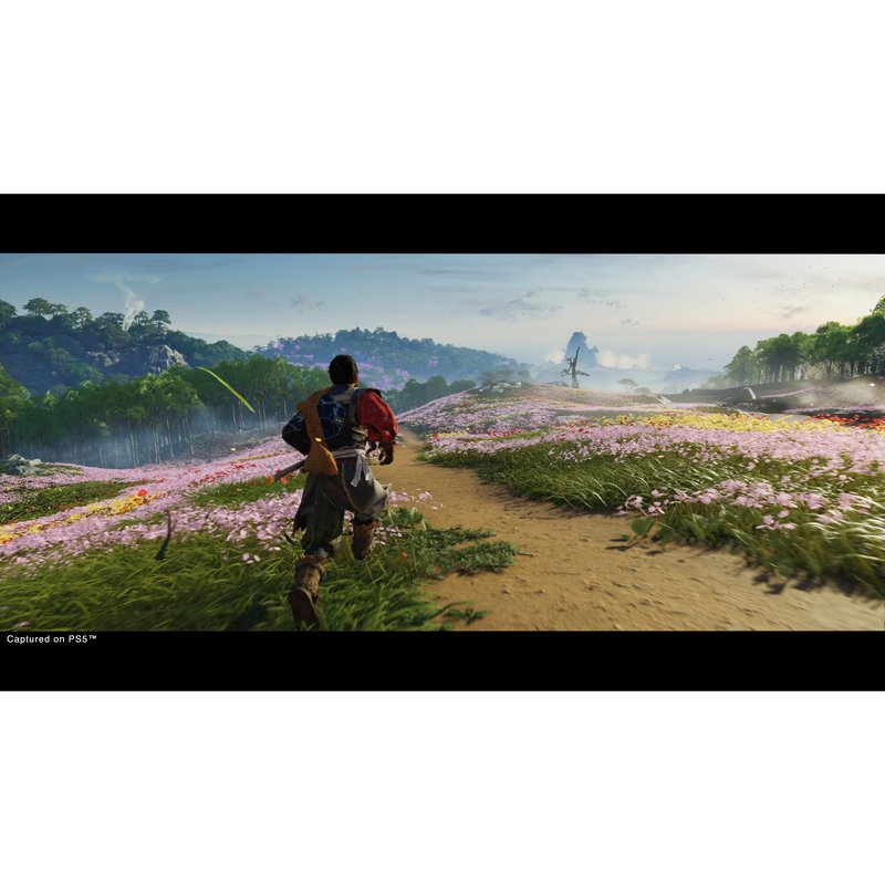 Thumbnail 2 de Ghost of Tsushima Director's Cut para PS4 🗡
