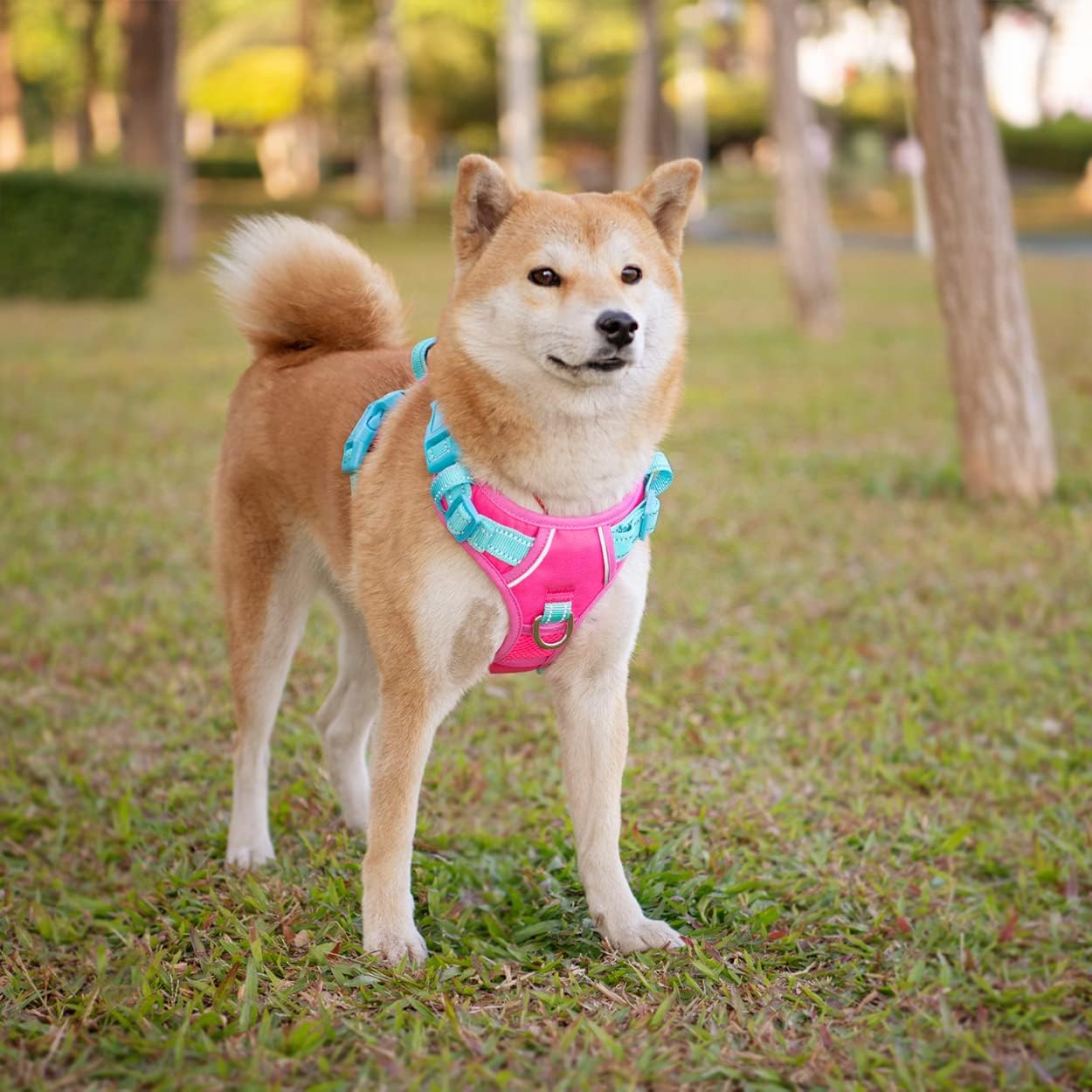 Thumbnail 6 de PHOEPET No Pull Dog Harness with Escape Proof Vest – Pink Base, Green Straps, XL
