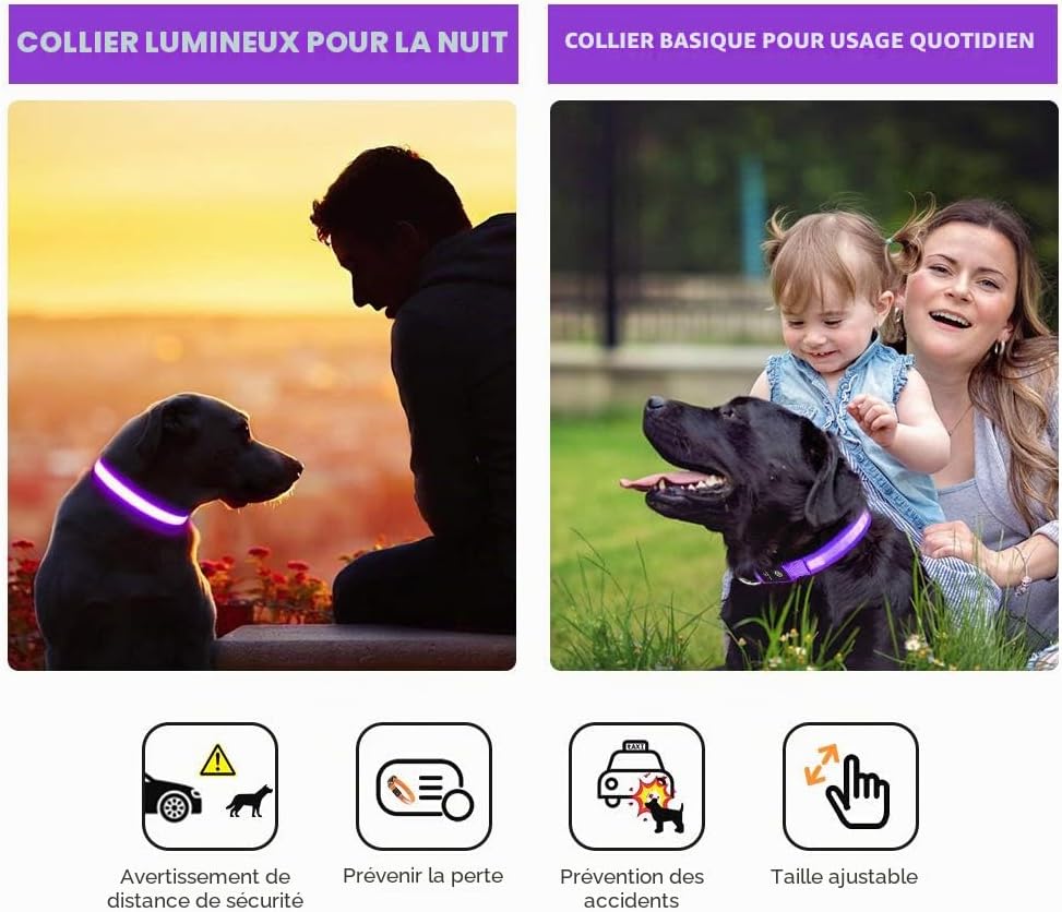 Detalle de MASBRILL Collier Lumineux pour Chien – Rechargeable, Étanche et Réglable (3 Modes, Violet, S)