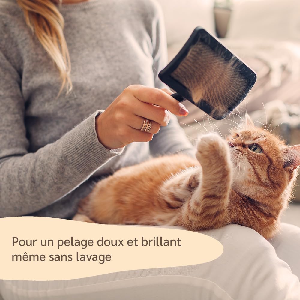 Thumbnail 3 de Spray Démêlant pour chat amusi Poil Long 250 ml – sans rinçage, formule naturelle à l’huile d’olive