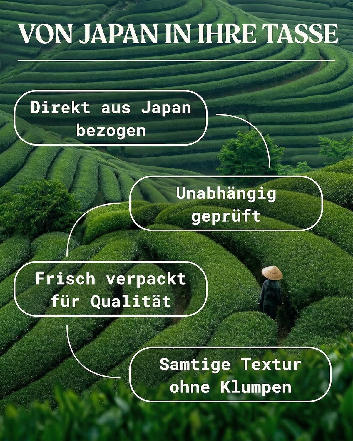 Thumbnail 2 de NaturaleBio Matcha Ceremonial Grade 100g – Bio Matcha aus Uji, Kyoto, Japan