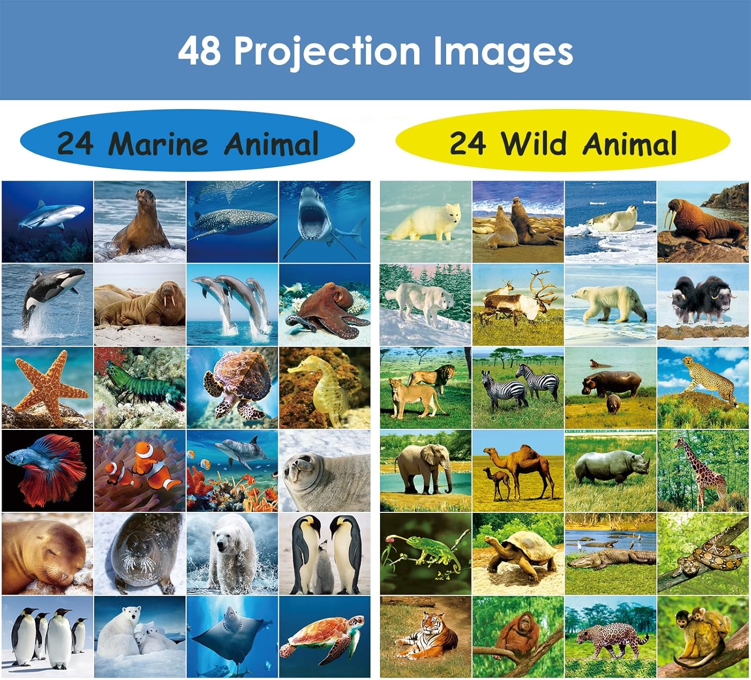 Thumbnail 6 de Pup Go 2-Pack Wild Animal & Seaworld Torch and Projector for Ages 3–7