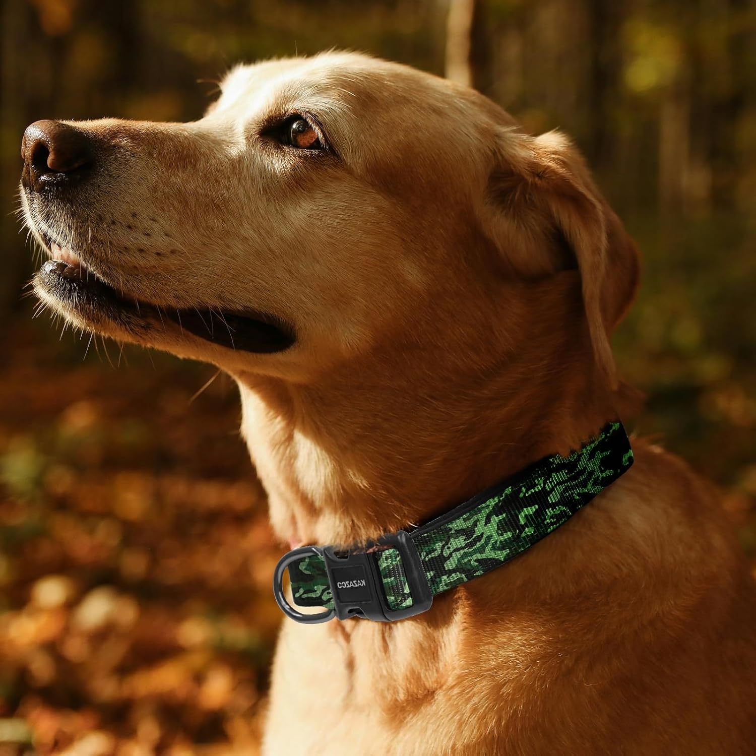 Detalle de Kazazoo Dog Collar, Medium