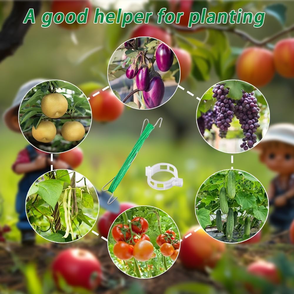 Thumbnail 5 de HuaMuDM Tomatenhaken mit Schnur – 40er Set für Tomaten, Gurken & Kletterpflanzen