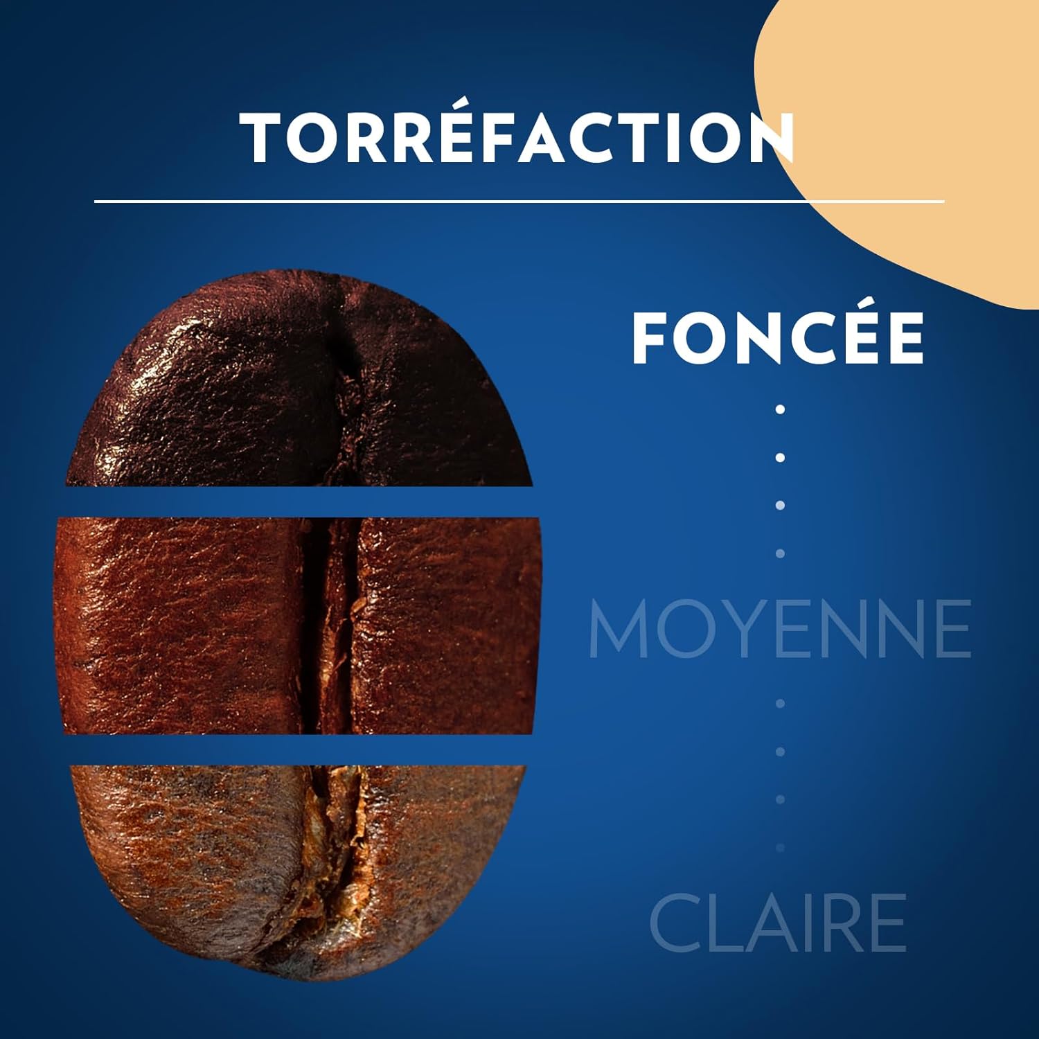 Detalle 2 de Lavazza Momento Dolce – Café en grains 1 kg pour machines automatiques, notes de chocolat, Arabica/Robusta