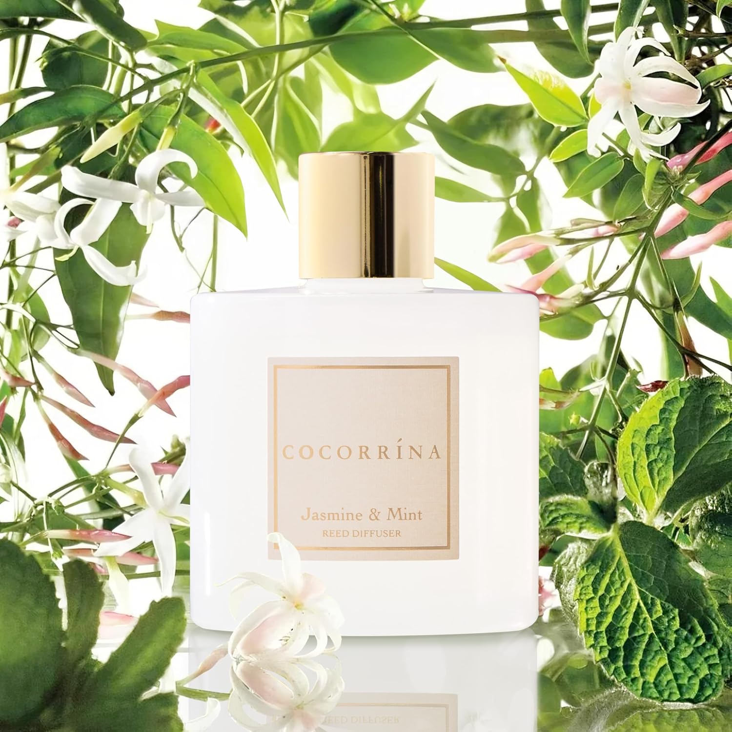 Detalle de COCORRÍNA Raumduft Reed Diffuser Jasmine & Mint 200 ml – langanhaltend, mit 8 Duftstäbchen