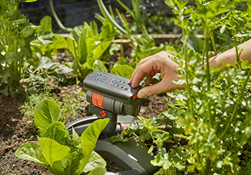 Thumbnail 9 de Gardena Irrigatore Oscillante AquaZoom Compact: irrigazione flessibile per prati e aiuole