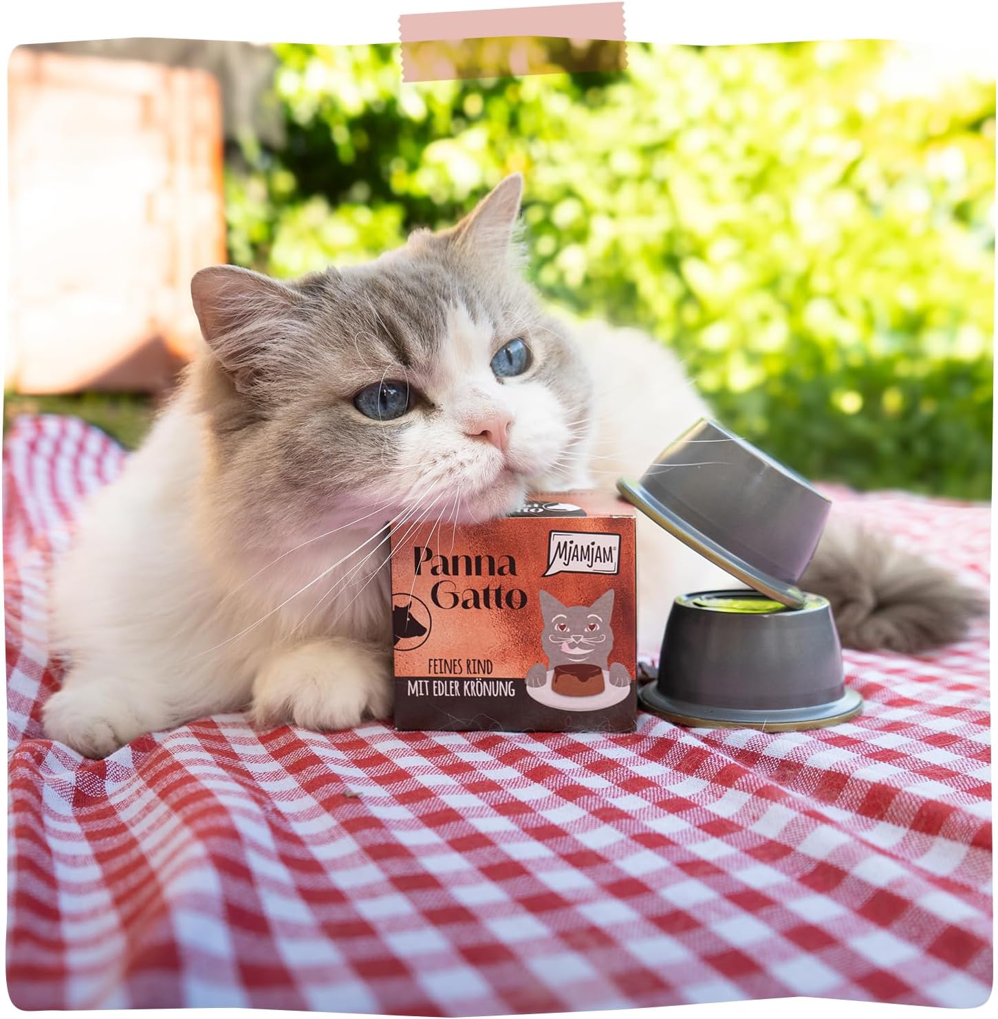 Thumbnail 5 de MjAMjAM Premium Nassfutter Katzen Panna Gatto