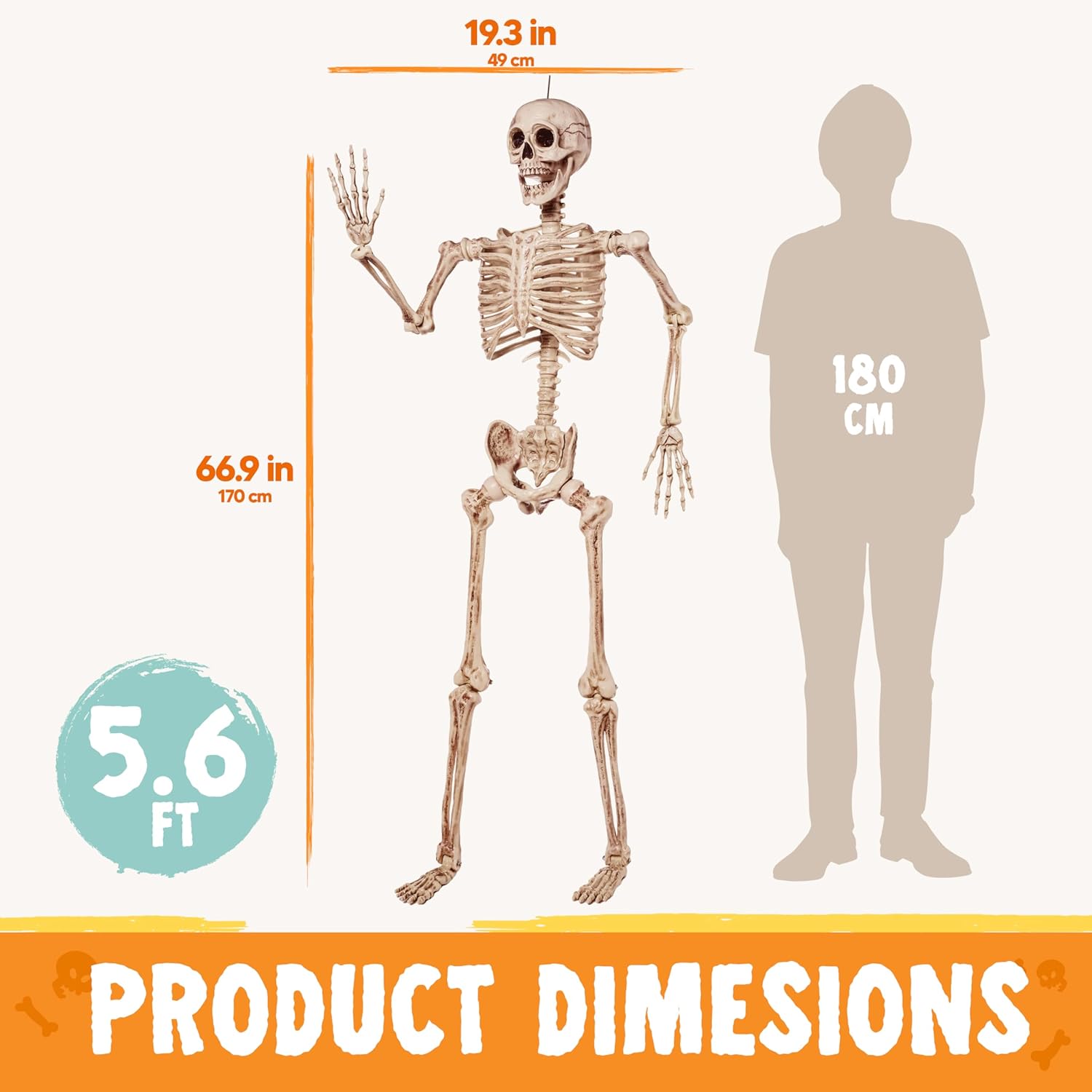 Thumbnail 6 de JOYIN 16025 5.6 ft Posable Skeleton with Movable Joints