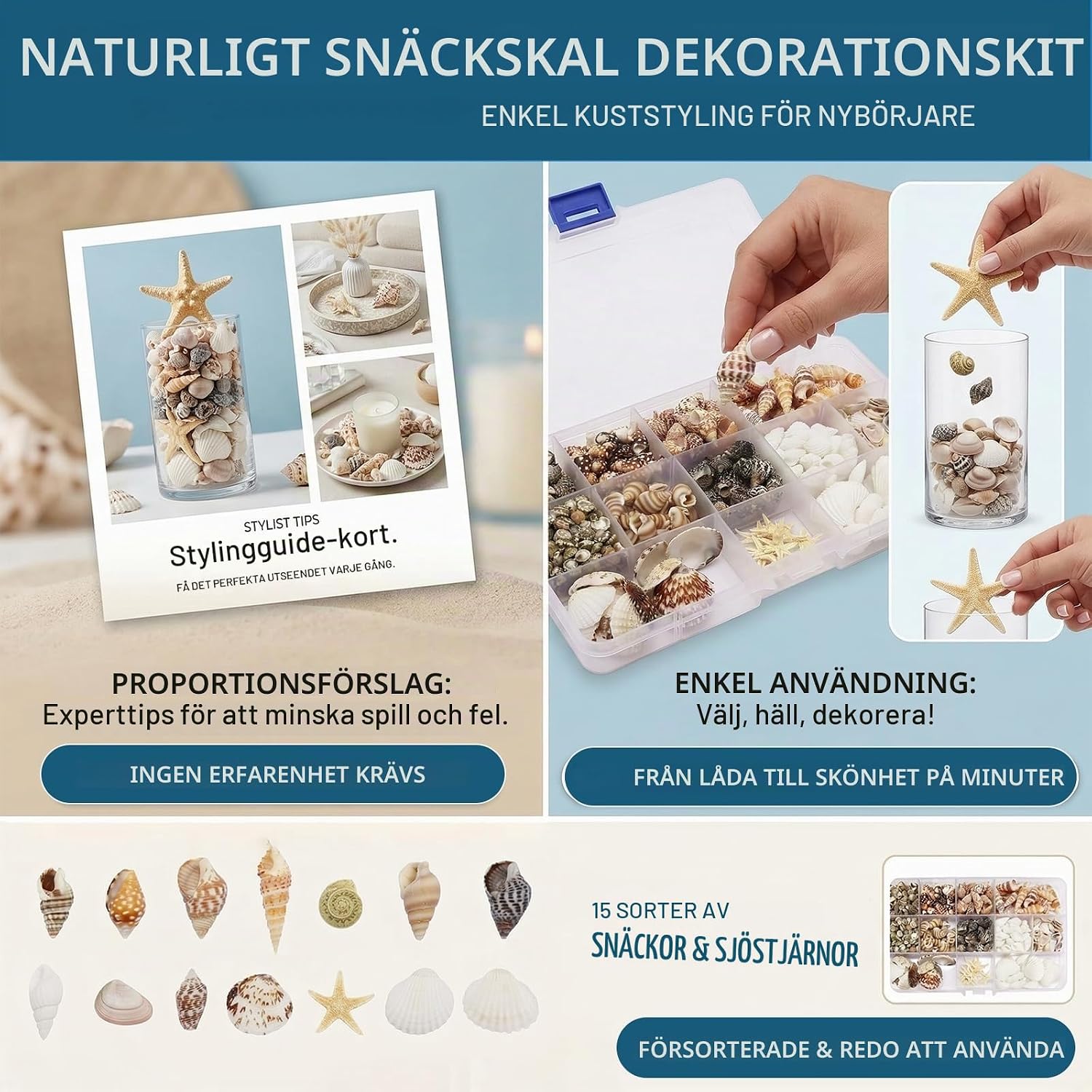 Detalle 2 de HJ-HSH-DE-BK snäckskal för pyssel, cirka 525 delar i 12 stilar