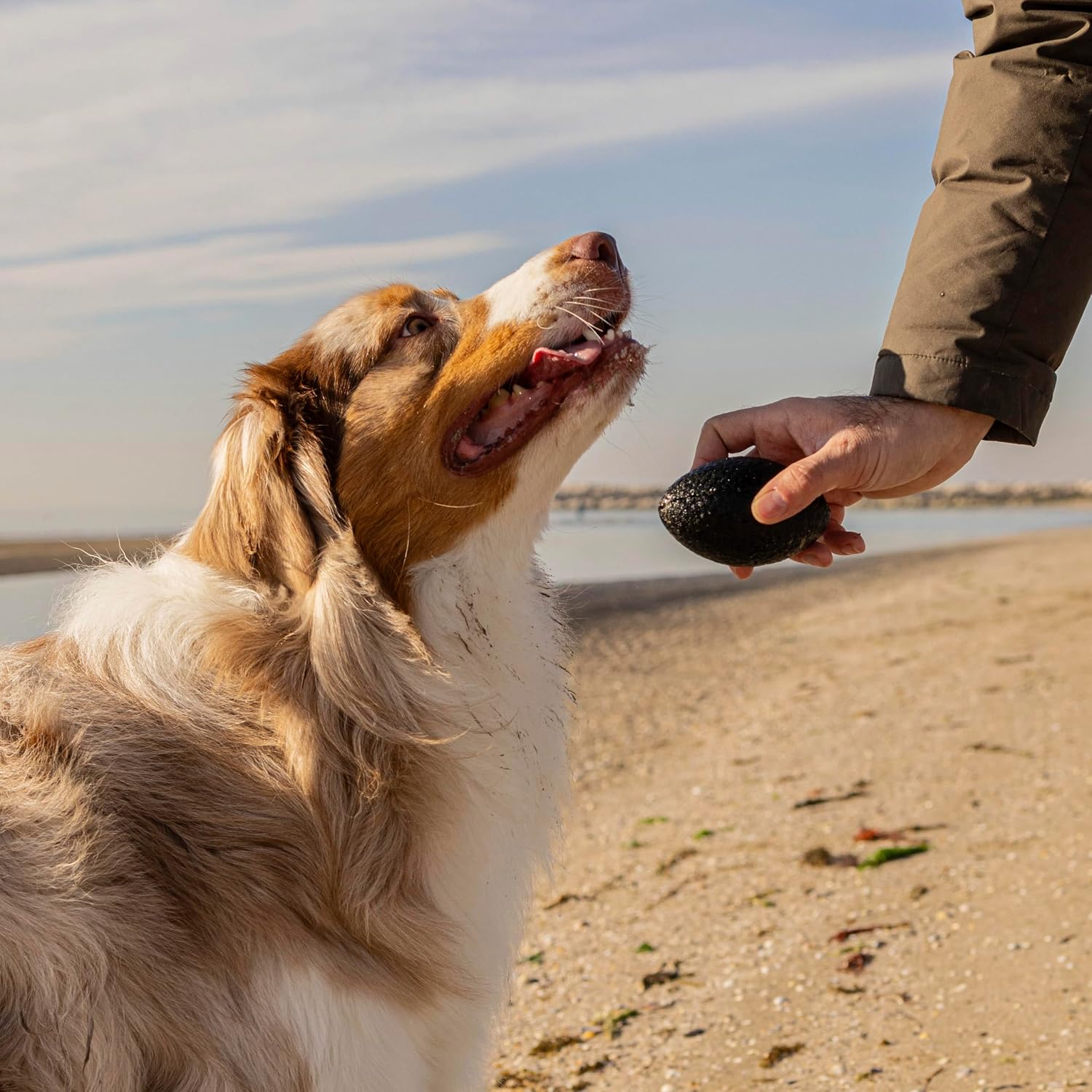 Detalle de Ferplast CHEWA BOING RUGBY pallina per cani grandi, rimbalza e galleggia (nero)