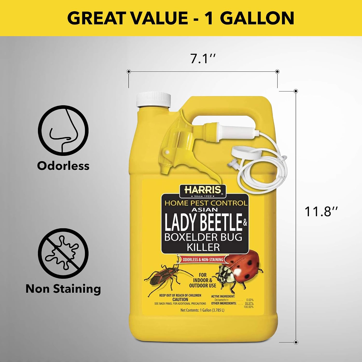 Thumbnail 6 de HARRIS HBXA-128 Asian Lady Beetle & Box Elder Killer Spray, 1 Gallon