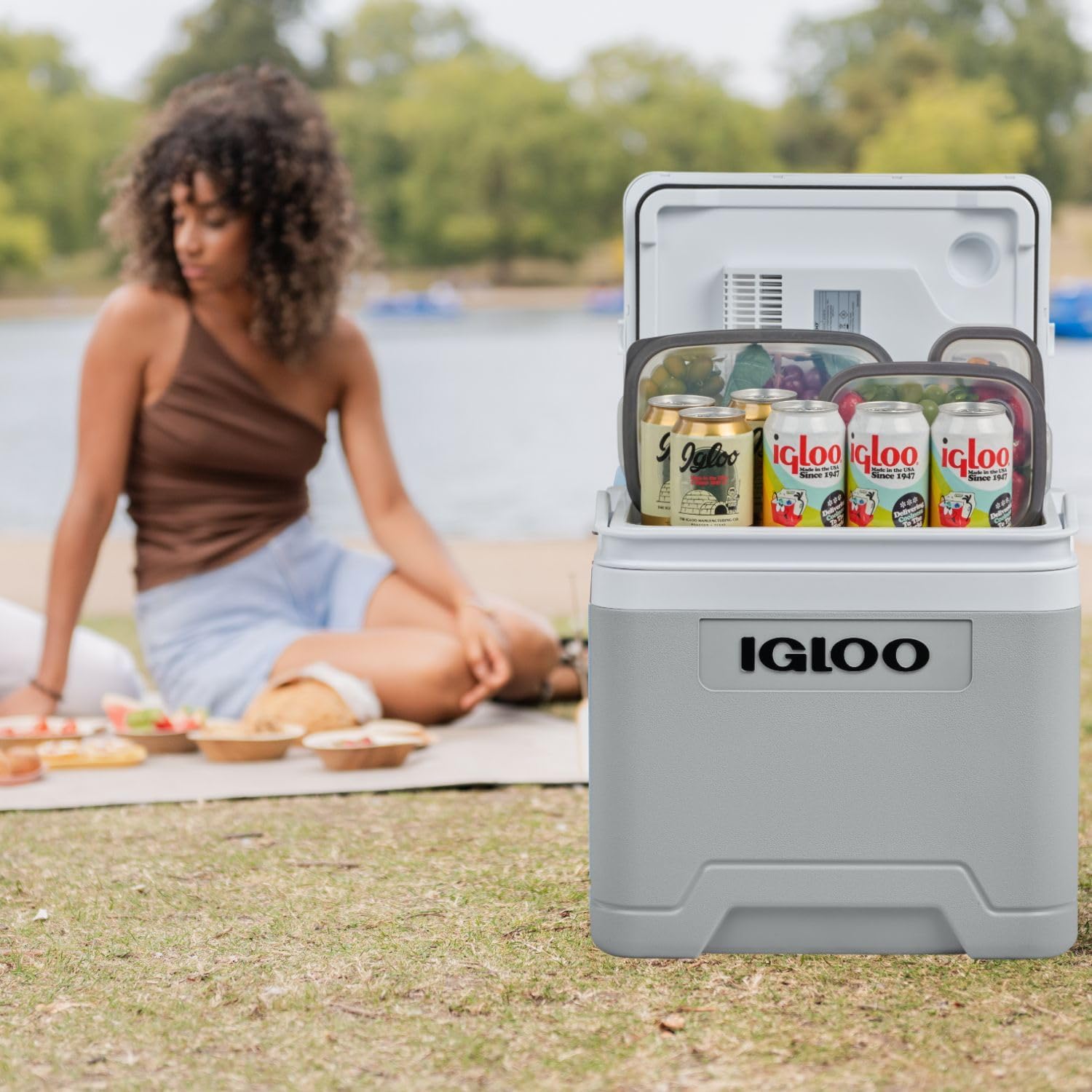 Thumbnail 1 de IGLOO IE27 AC/DC Mini Nevera Eléctrica 27L para Coche