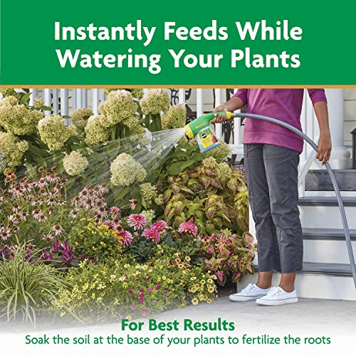 Thumbnail 9 de Miracle-Gro Water Soluble All Purpose Plant Food, 3 lb — Quick, Versatile Nutrition for Indoor and Outdoor Plants