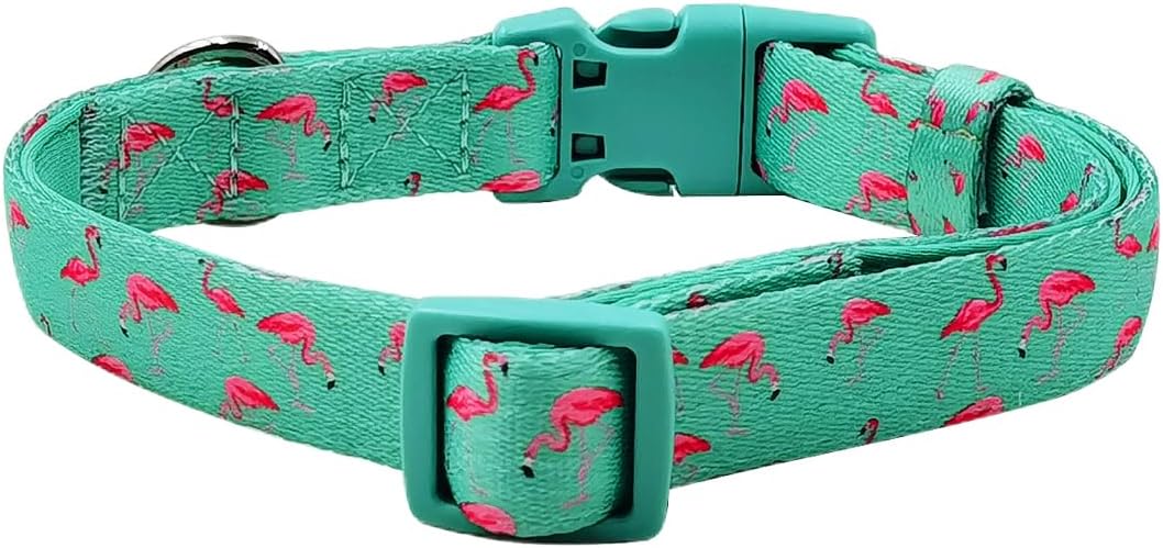 Detalle de Olahibi Basic Dog Collar, 1.5 cm