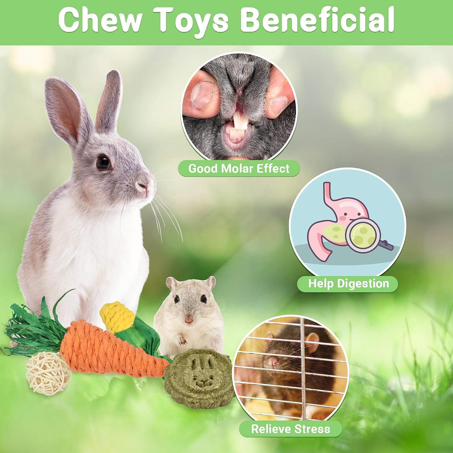 Detalle de Ousiya : Lot de 21 Jouets à mâcher naturels pour Lapin et Petits Animaux – Bâtonnets de Foin Timothy et Bois de Pommier