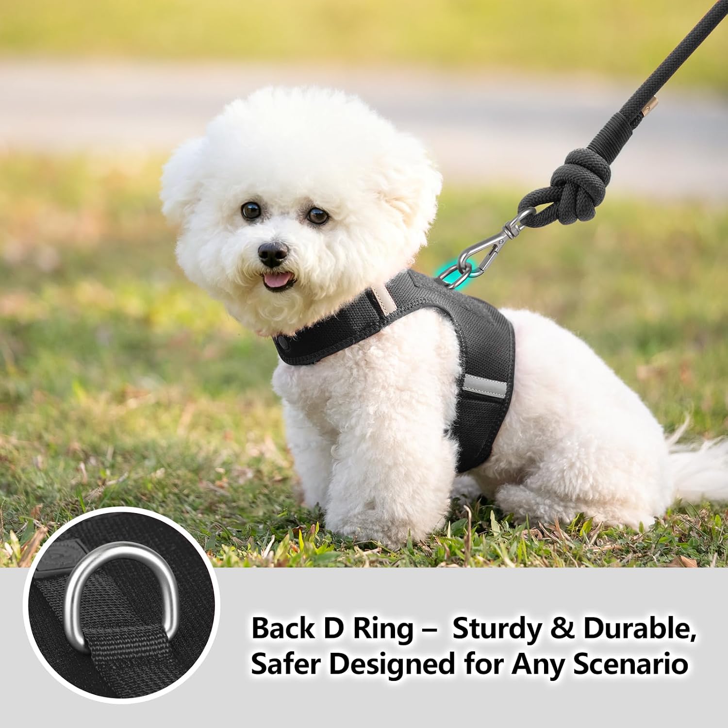 Thumbnail 2 de Sunraymascota Dog Harness, Size S