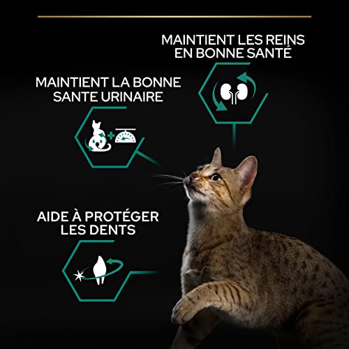Detalle de Pro Plan Sterilised Adult RENAL PLUS Lapin 3kg — Alimentation complète pour chats castrés