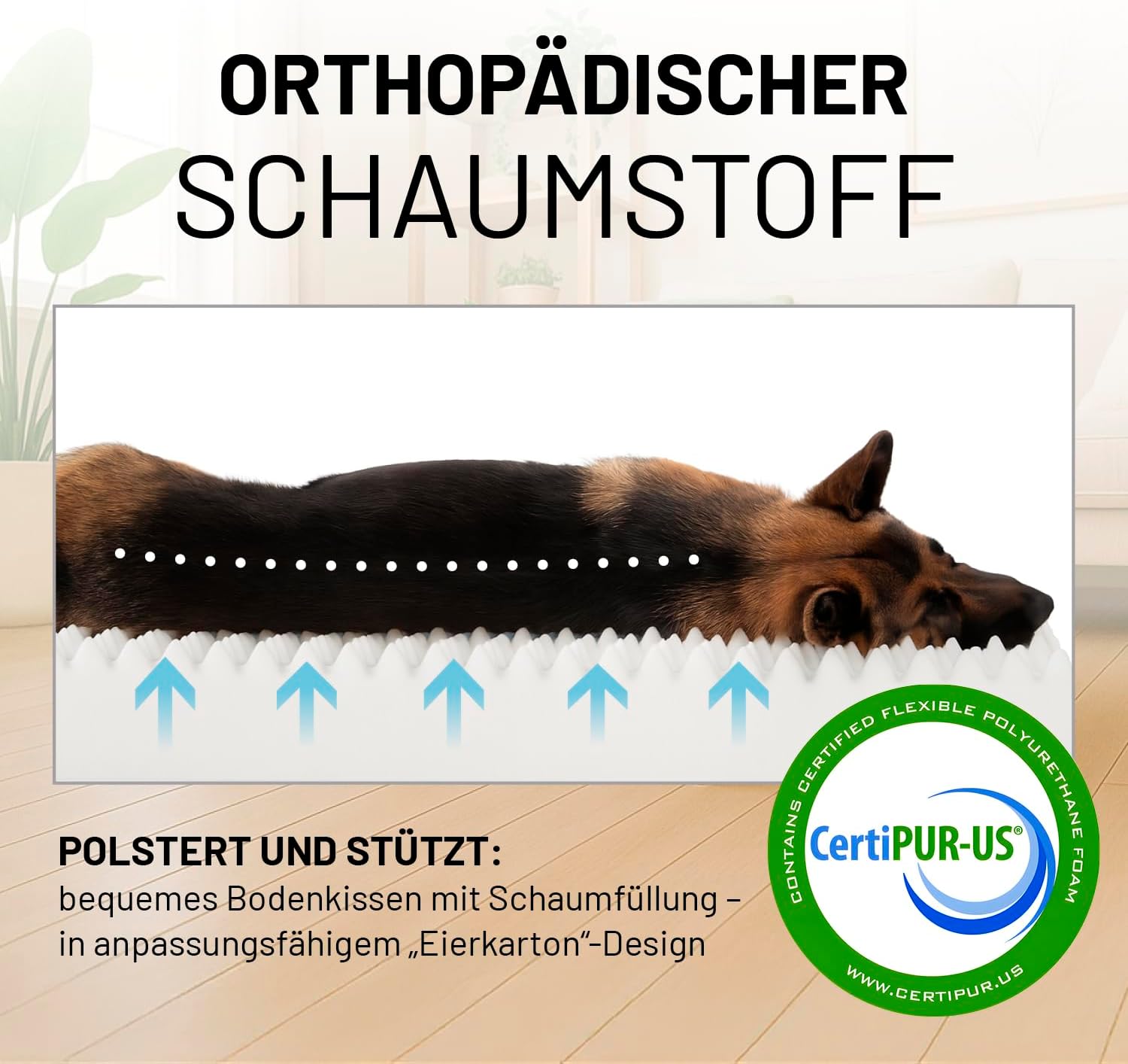 Thumbnail 4 de Lumaland orthopädisches Hundebett Cord 70x60