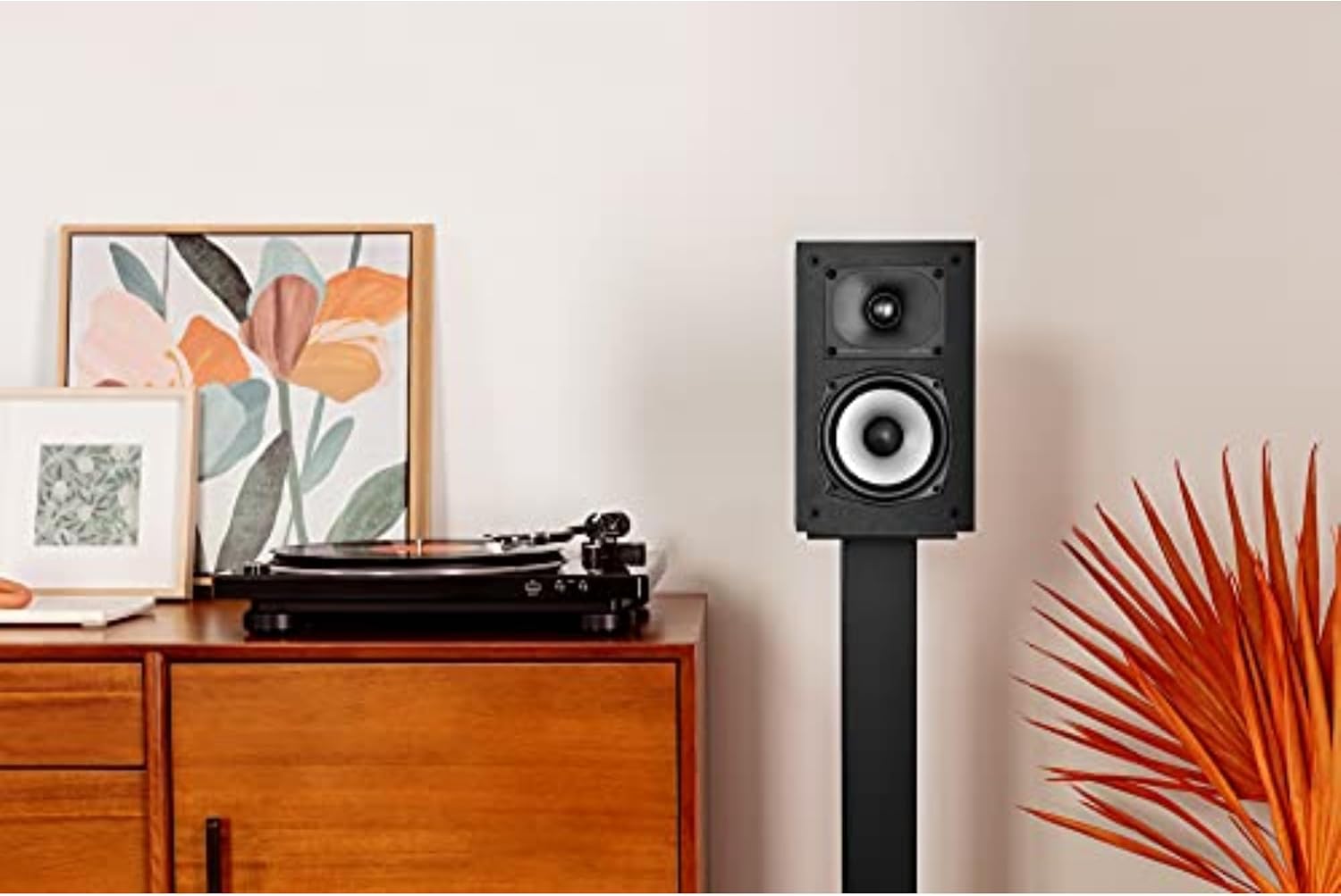 Detalle 2 de Polk Monitor XT15 bookshelf speakers 5.25"