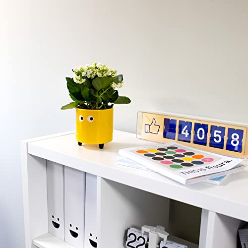 Thumbnail 4 de Fisura Macetero Original ojos amarillo 13×12,5 cm 🌱