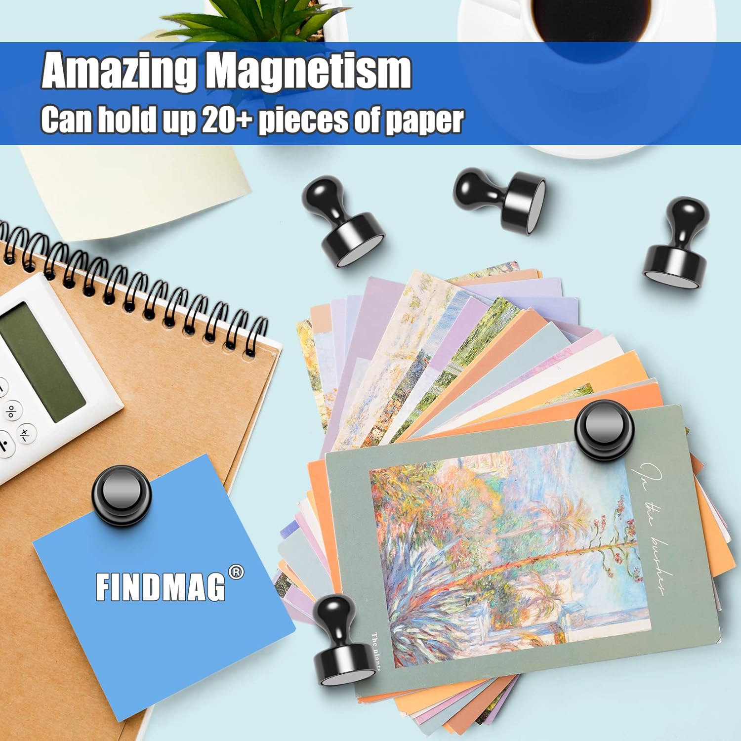 Detalle de FINDMAG Refrigerator Magnets, 16 Pack – Strong, Black Mini Magnets for Photos, Notes and More