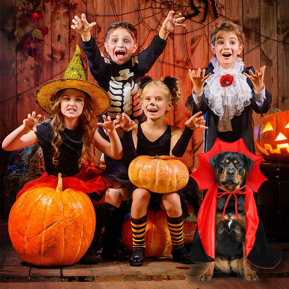 Thumbnail 4 de Vellibring VB-US-HA194M1P1 Dog Vampire Cape, Adjustable Red-and-Black Costume