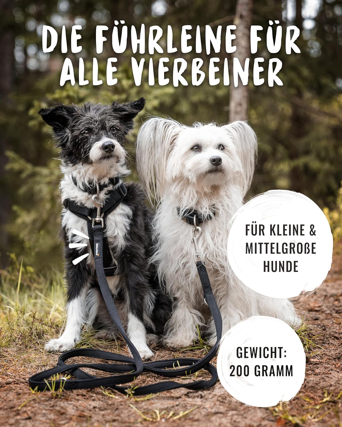 Thumbnail 5 de Rudelkönig Bella Führleine 2,30 m 📏🐕