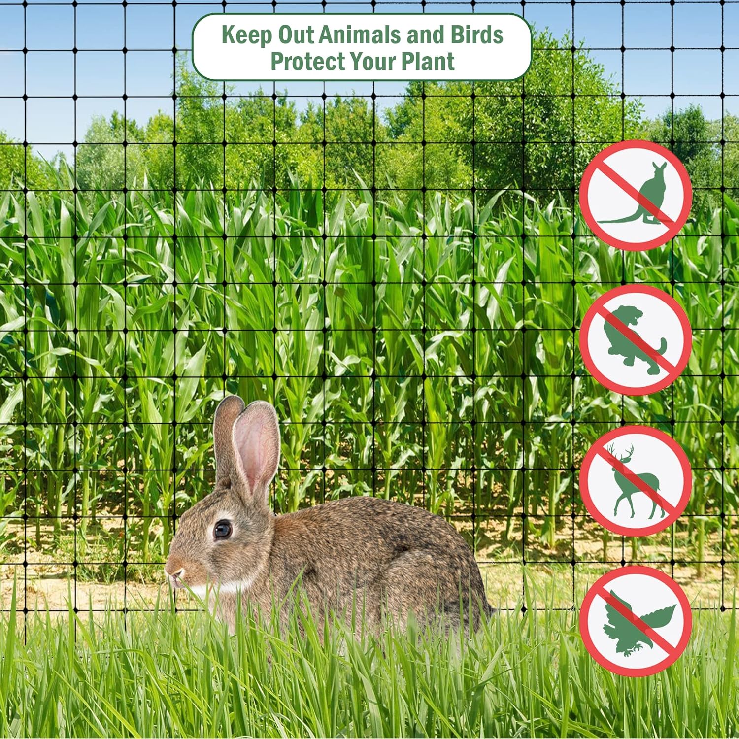 Thumbnail 3 de Garden Netting 4 x 10M Bird Netting with 50 Cable Ties — Heavy Duty, Reusable Garden Mesh
